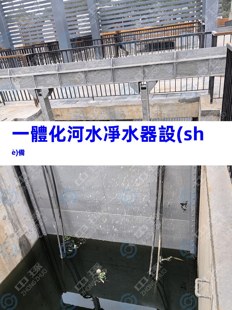 一體化河水凈水器設(shè)備
