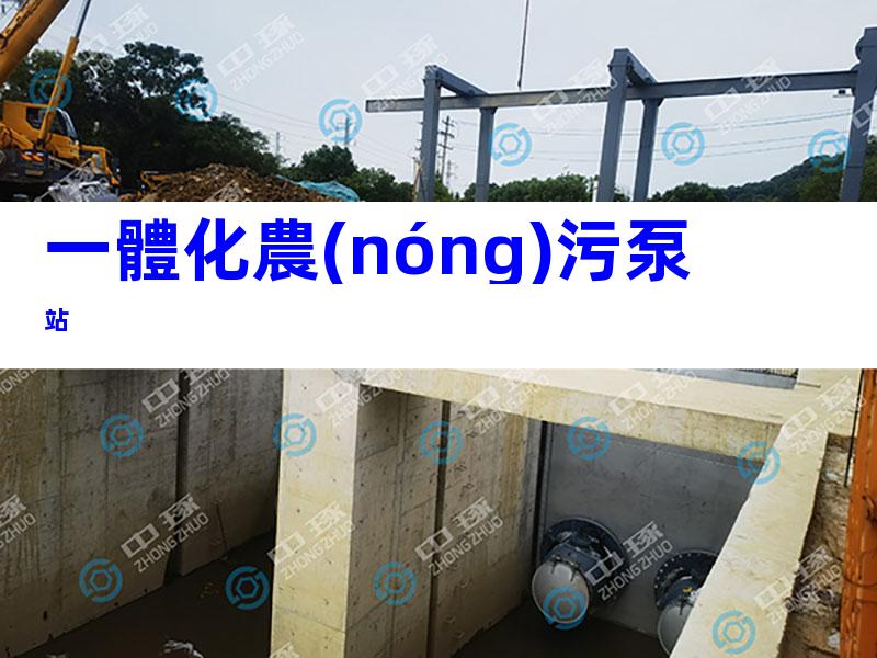 一體化農(nóng)污泵站