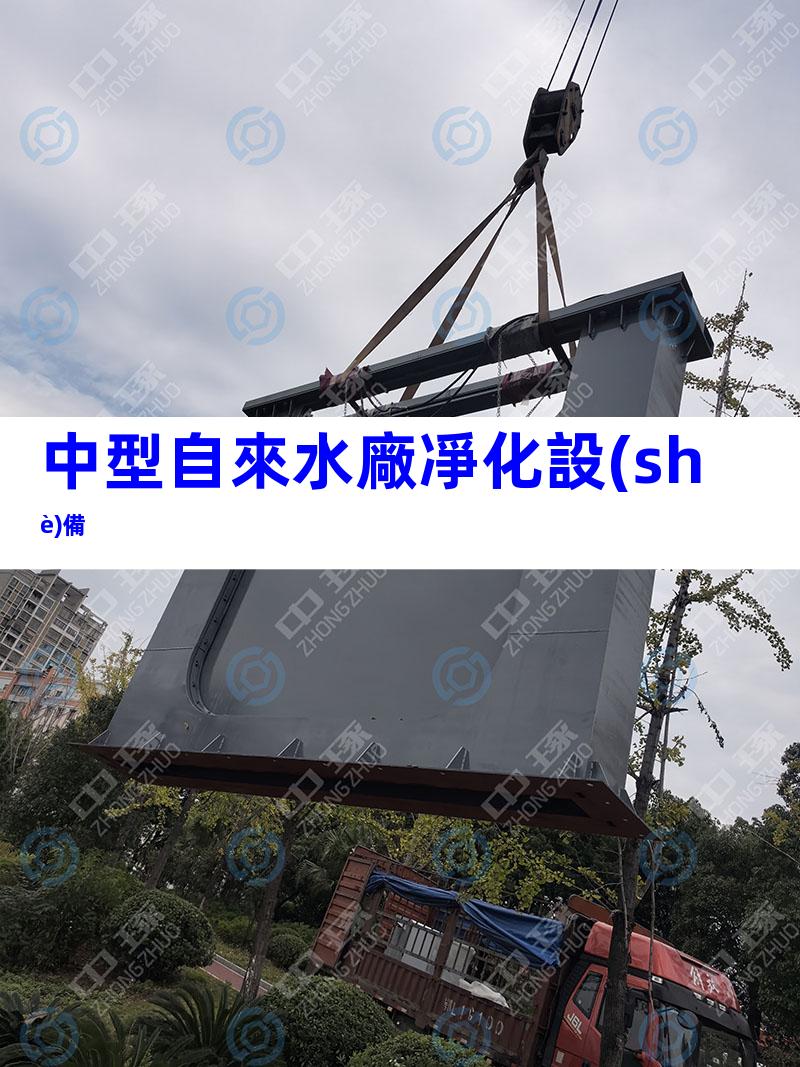 中型自來水廠凈化設(shè)備
