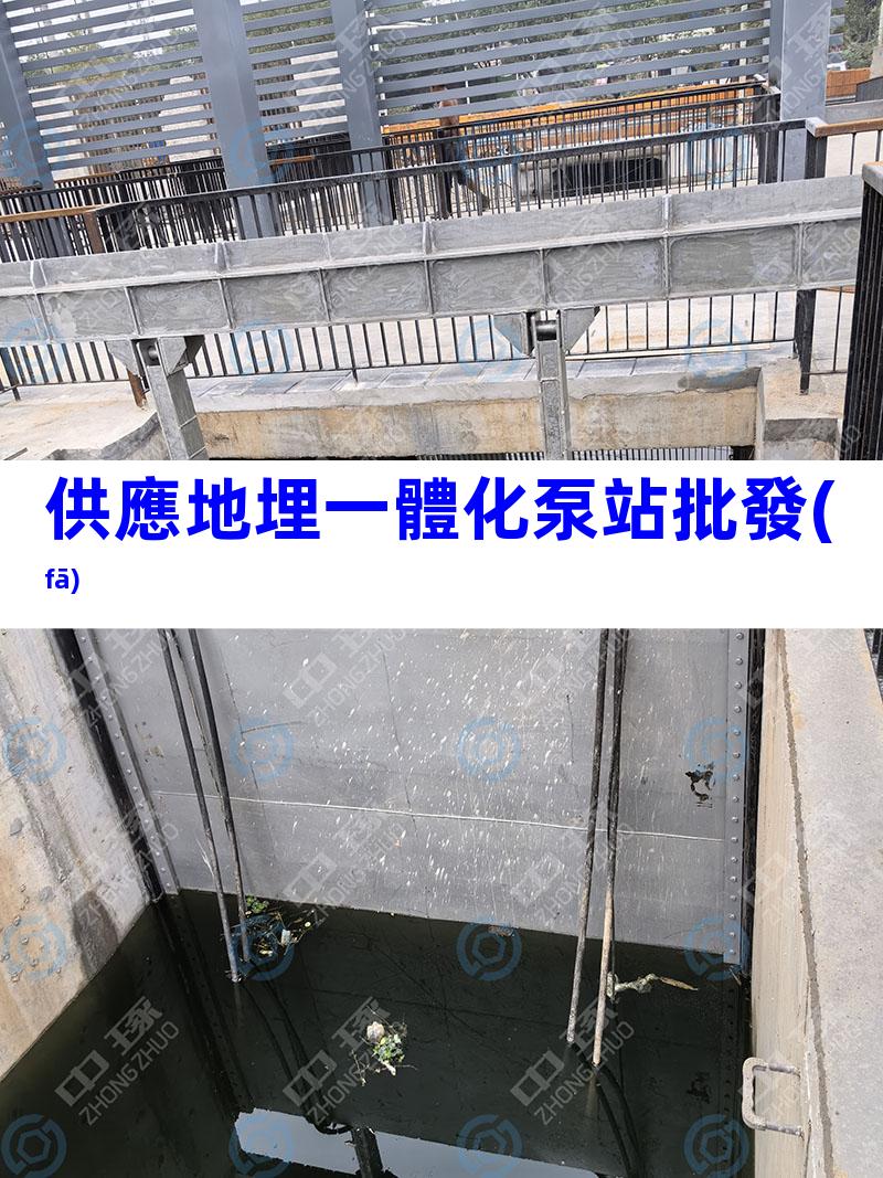 供應地埋一體化泵站批發(fā)