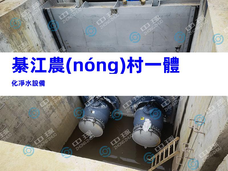 綦江農(nóng)村一體化凈水設備