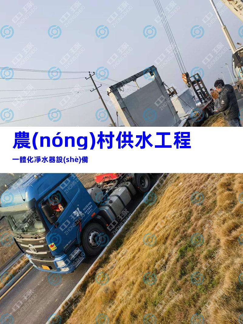 農(nóng)村供水工程一體化凈水器設(shè)備