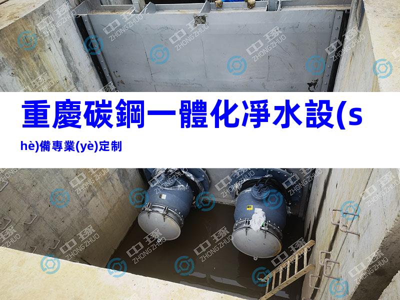 重慶碳鋼一體化凈水設(shè)備專業(yè)定制