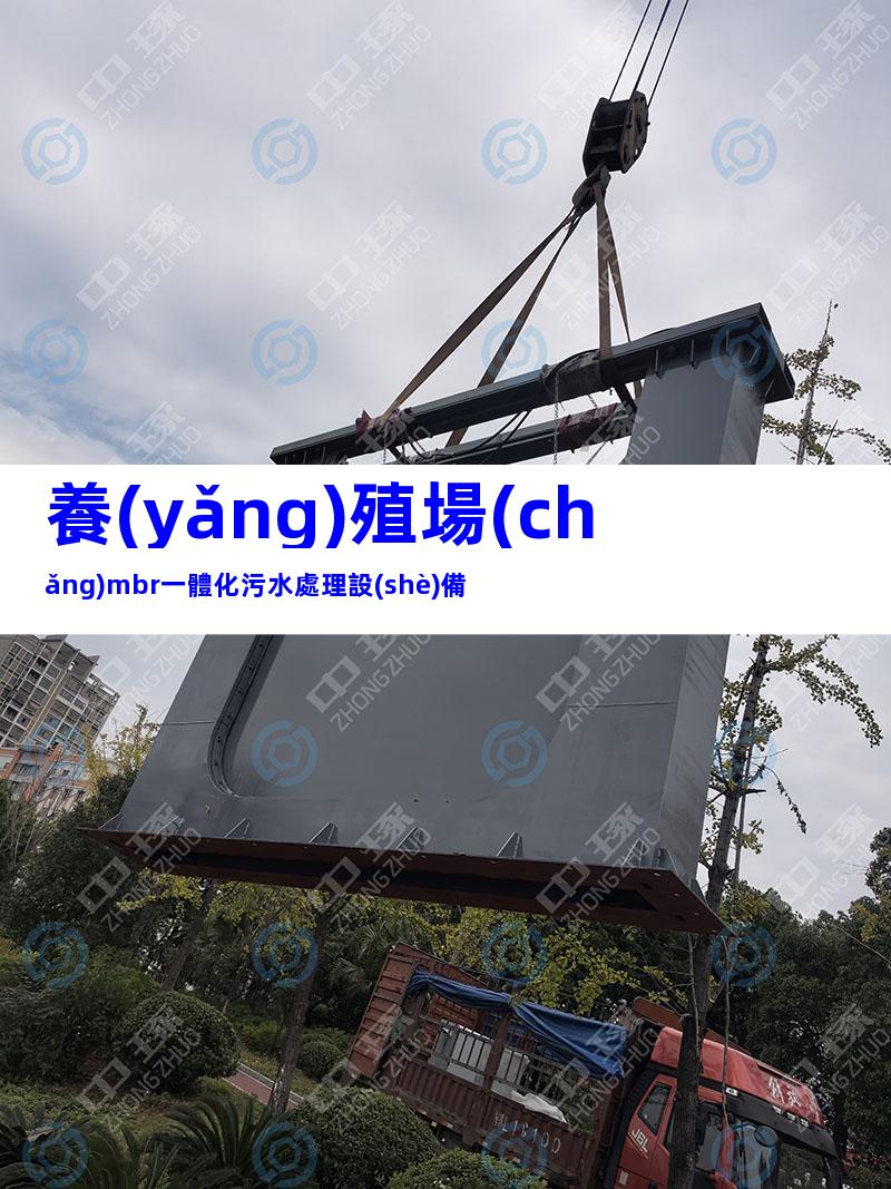 養(yǎng)殖場(chǎng)mbr一體化污水處理設(shè)備